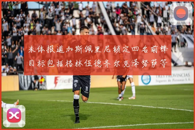 米体报道加斯佩里尼锁定四名前锋目标包括格林伍德齐尔克泽努萨等人
