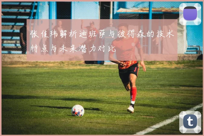 张佳玮解析迪班萨与彼得森的技术特点与未来潜力对比